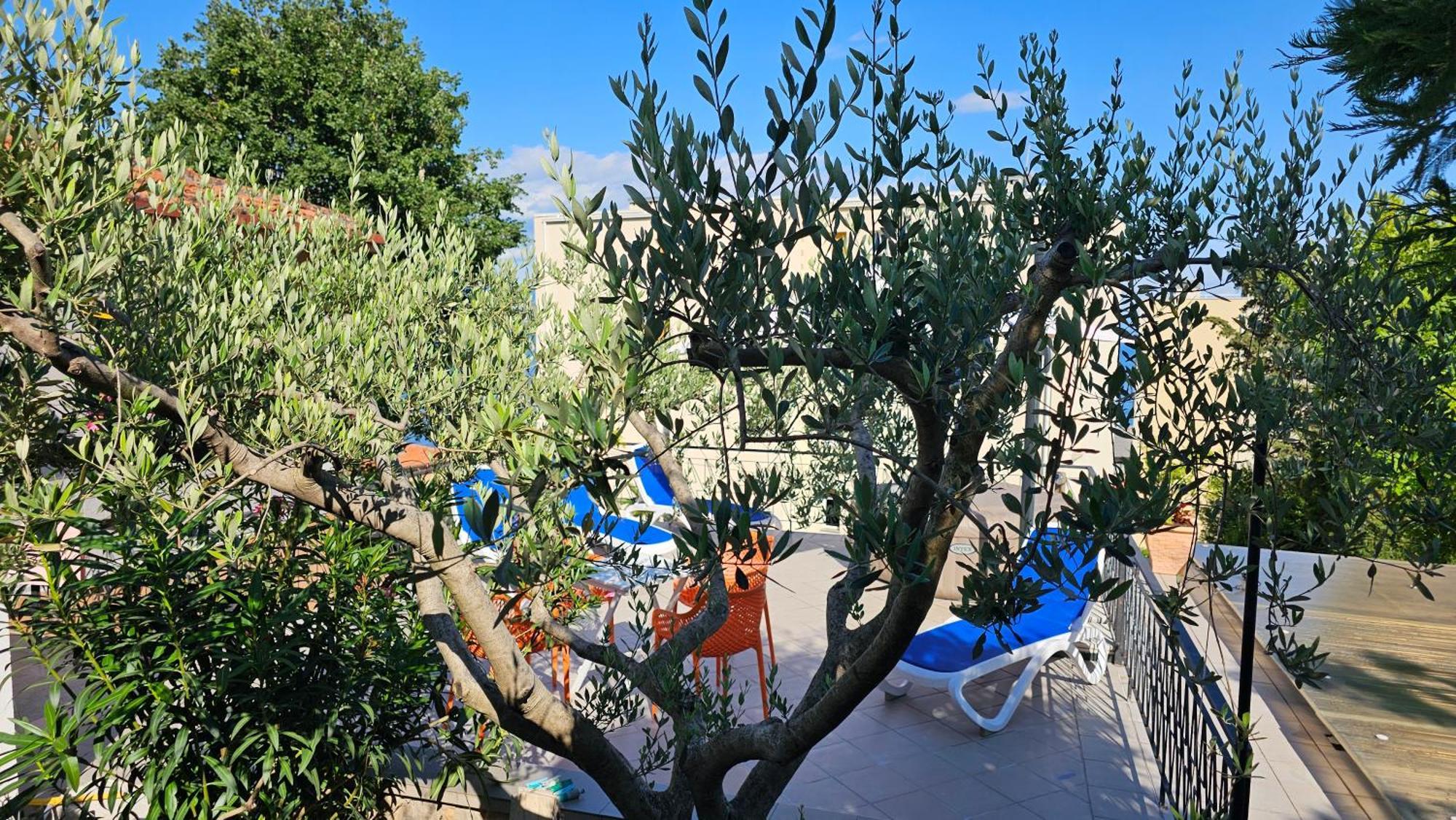 Elvira Διαμέρισμα Οπατία Εξωτερικό φωτογραφία